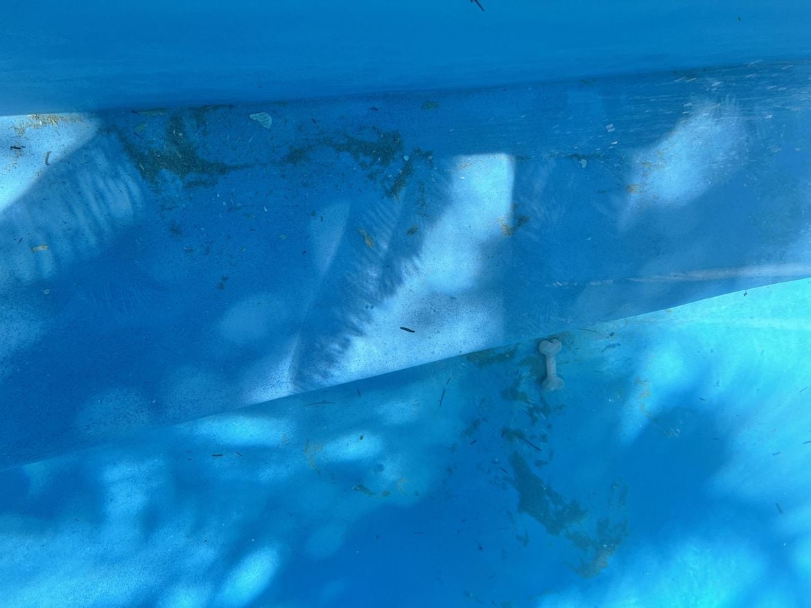 IMG_4222.jpg IMG_4222.jpg