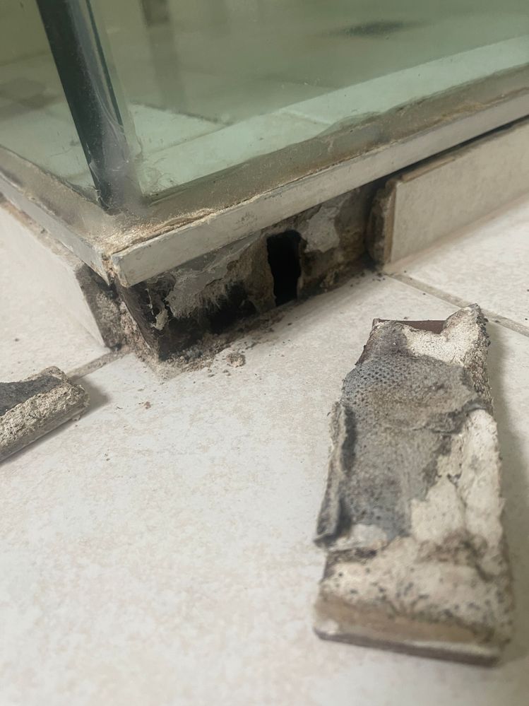 IMG_4648.JPG IMG_4648.JPG