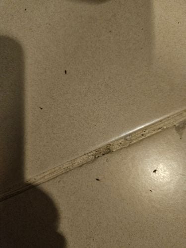 1000006561.jpg 1000006561.jpg