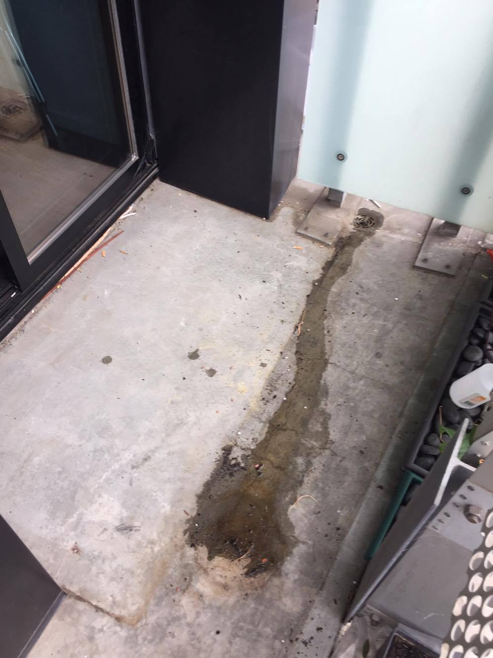 16710339_10154070771437434_1305927297_o.jpg 16710339_10154070771437434_1305927297_o.jpg