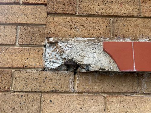 IMG_2371.jpeg IMG_2371.jpeg