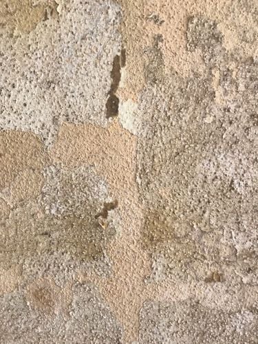 IMG_20211031_161500_01.jpg IMG_20211031_161500_01.jpg