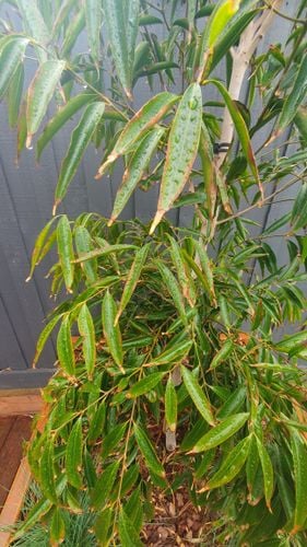 20251110_180020.jpg 20251110_180020.jpg