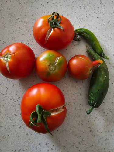 1000112035.jpg 1000112035.jpg