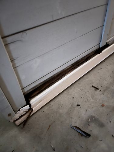 IMG_8138.jpeg IMG_8138.jpeg