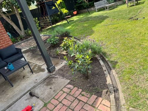 IMG_6070.jpeg IMG_6070.jpeg