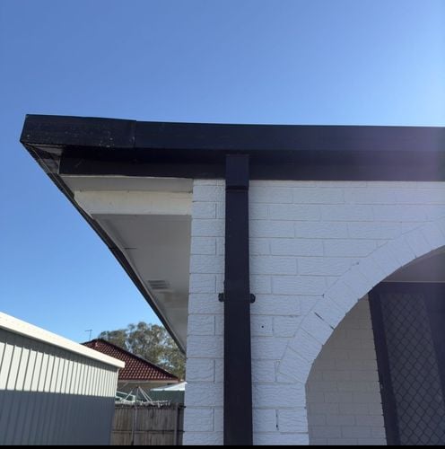 IMG_2505.jpeg IMG_2505.jpeg