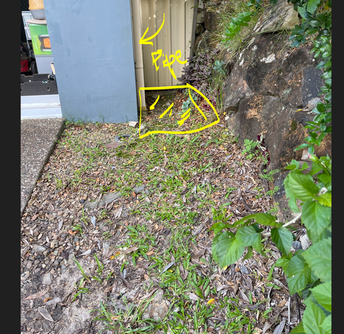 Sugar_4-1738187804392.png Sugar_4-1738187804392.png