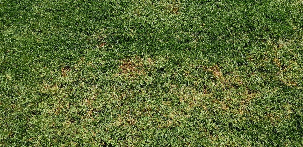 WhatsApp Image 2021-02-23 at 13.13.29 (1).jpeg WhatsApp Image 2021-02-23 at 13.13.29 (1).jpeg