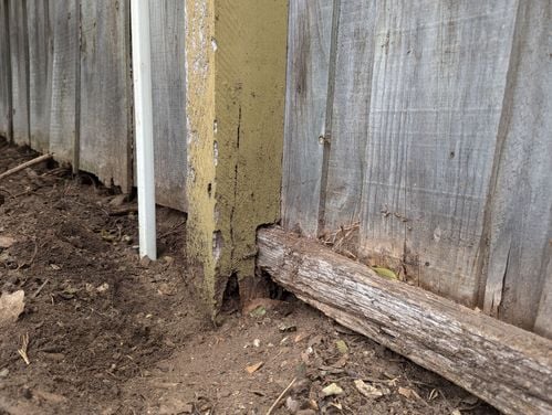 1000016691.jpg 1000016691.jpg