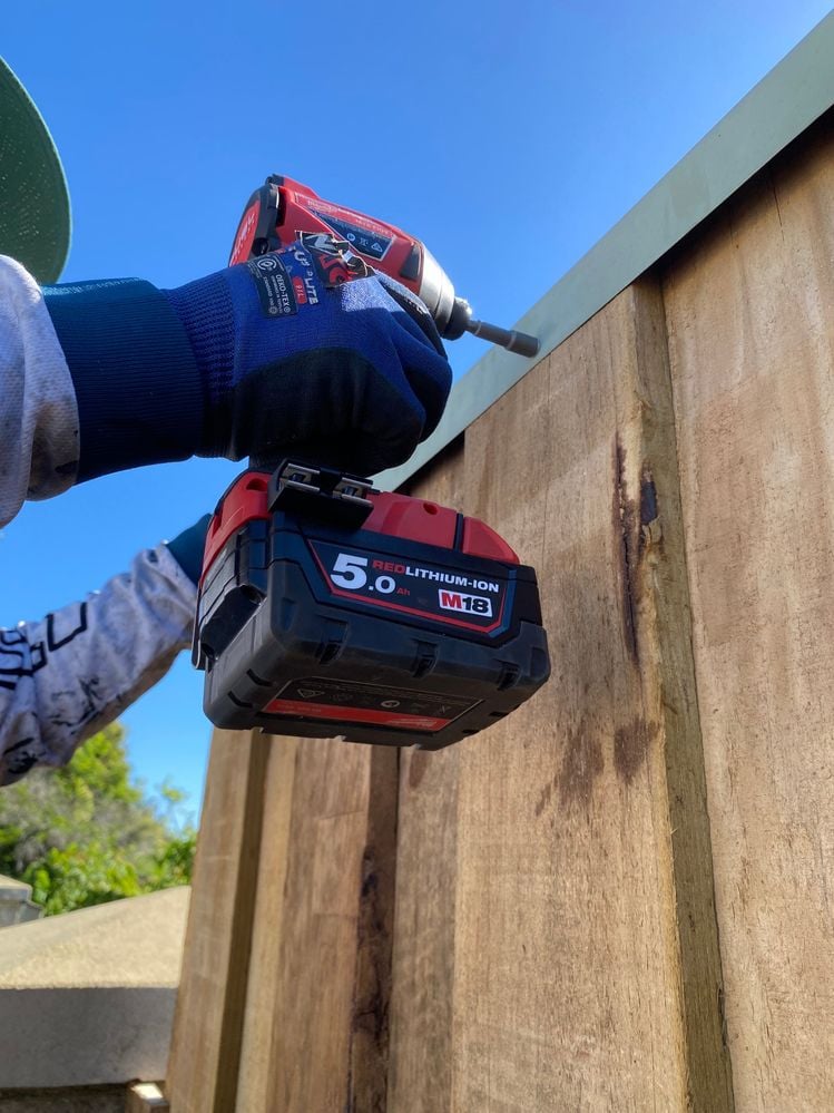 IMG_3885.jpeg IMG_3885.jpeg