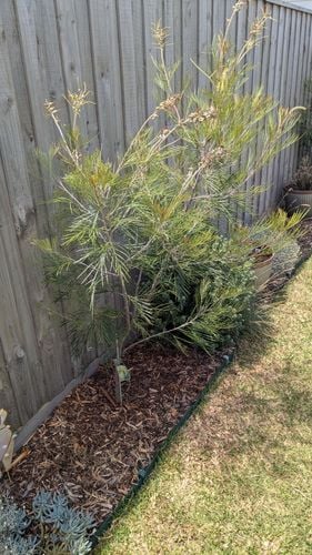 1000013786.jpg 1000013786.jpg