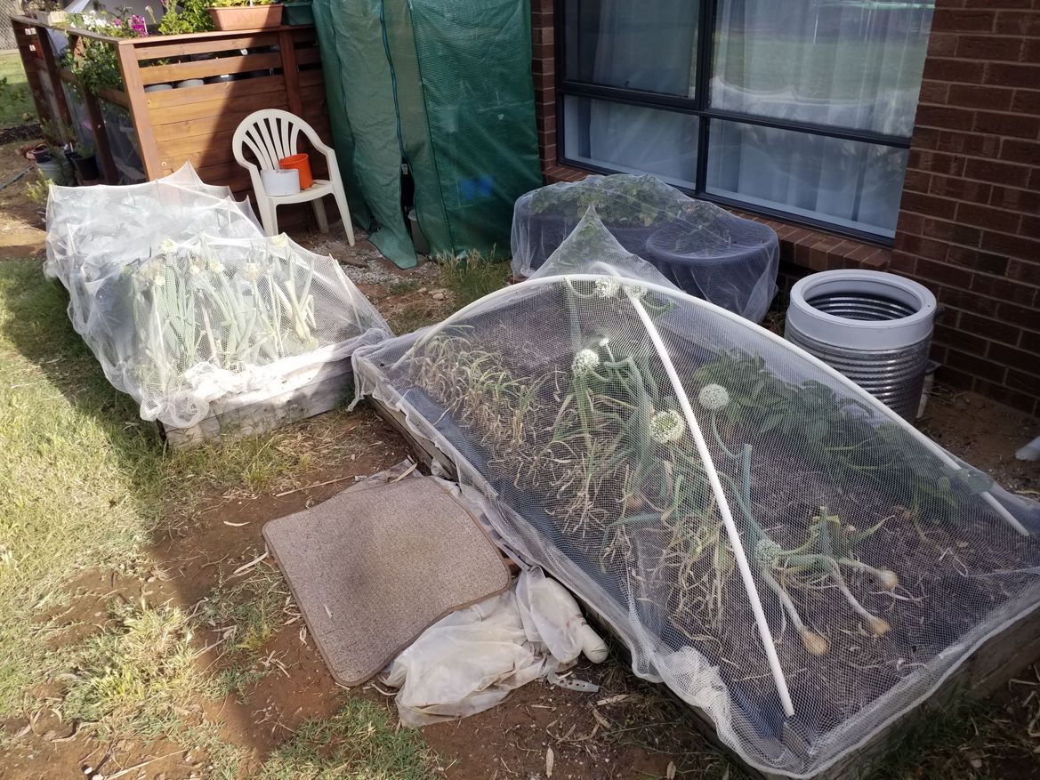 20201120_181710.jpg 20201120_181710.jpg