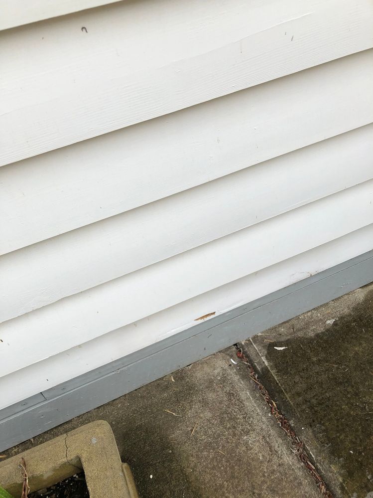 IMG_7906A.JPG IMG_7906A.JPG