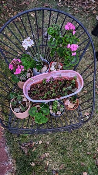 PXL_20240730_094804687.jpg PXL_20240730_094804687.jpg