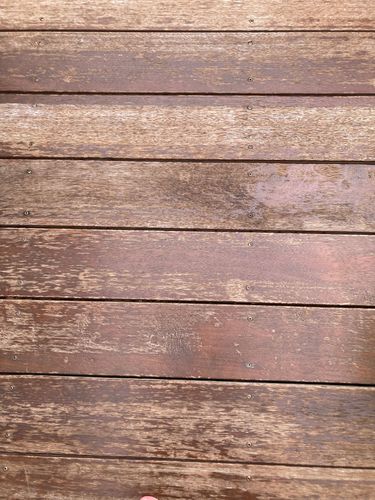 CC7DDF6D-9B78-4CB4-83D8-73C5A3E7B714.jpeg CC7DDF6D-9B78-4CB4-83D8-73C5A3E7B714.jpeg