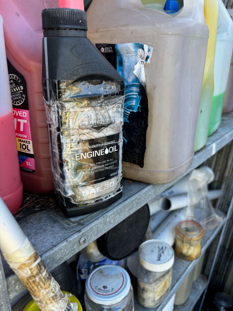 IMG_4511.jpg IMG_4511.jpg