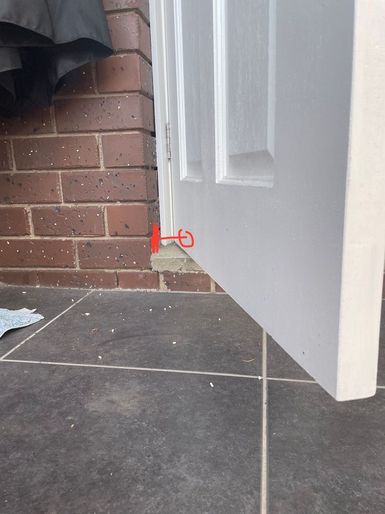 IMG_5484.jpg IMG_5484.jpg