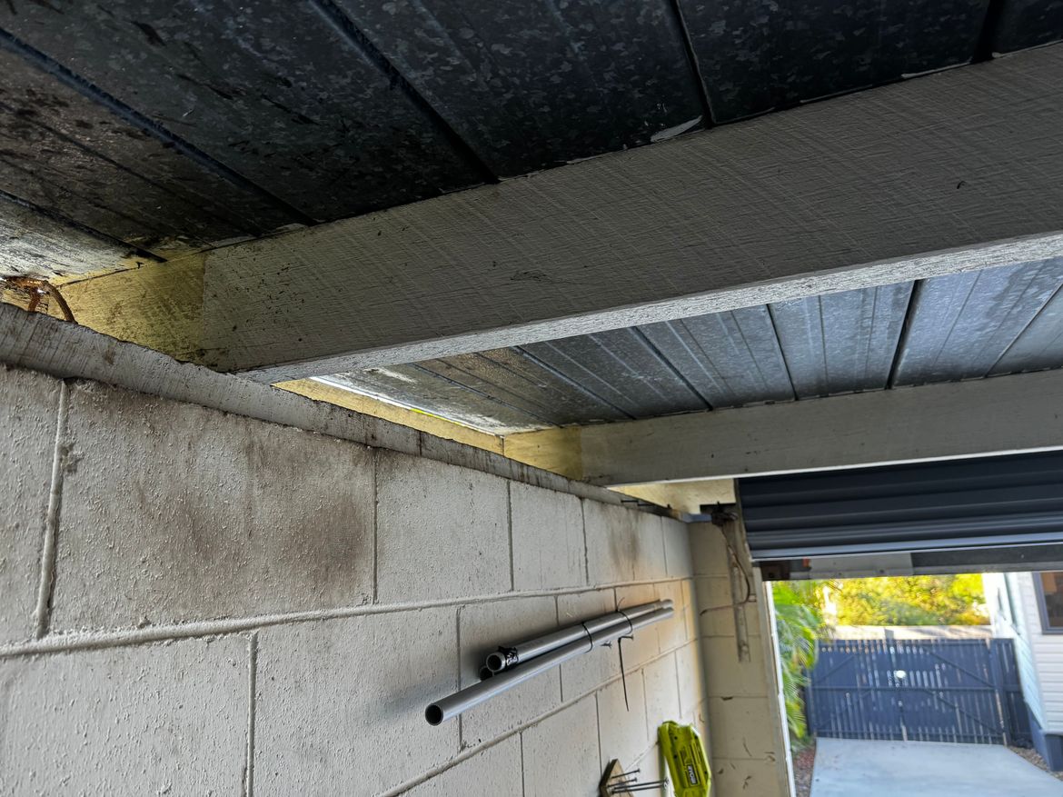 IMG_5897.jpeg IMG_5897.jpeg