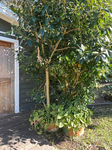 IMG_5216.jpeg IMG_5216.jpeg