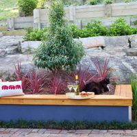 Step 13.1 Finished raised garden bed.jpg Step 13.1 Finished raised garden bed.jpg