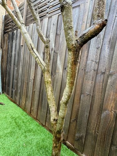 IMG_4546.jpeg IMG_4546.jpeg