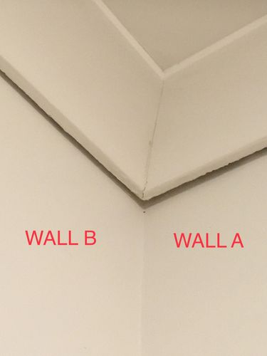 F102EB63-6EAA-4D3E-927B-8128FA831A3D.jpeg F102EB63-6EAA-4D3E-927B-8128FA831A3D.jpeg