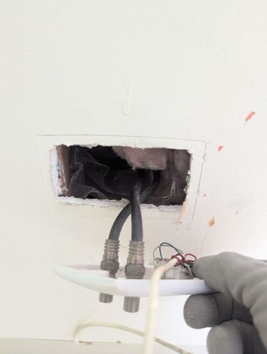 1000101783.jpg 1000101783.jpg