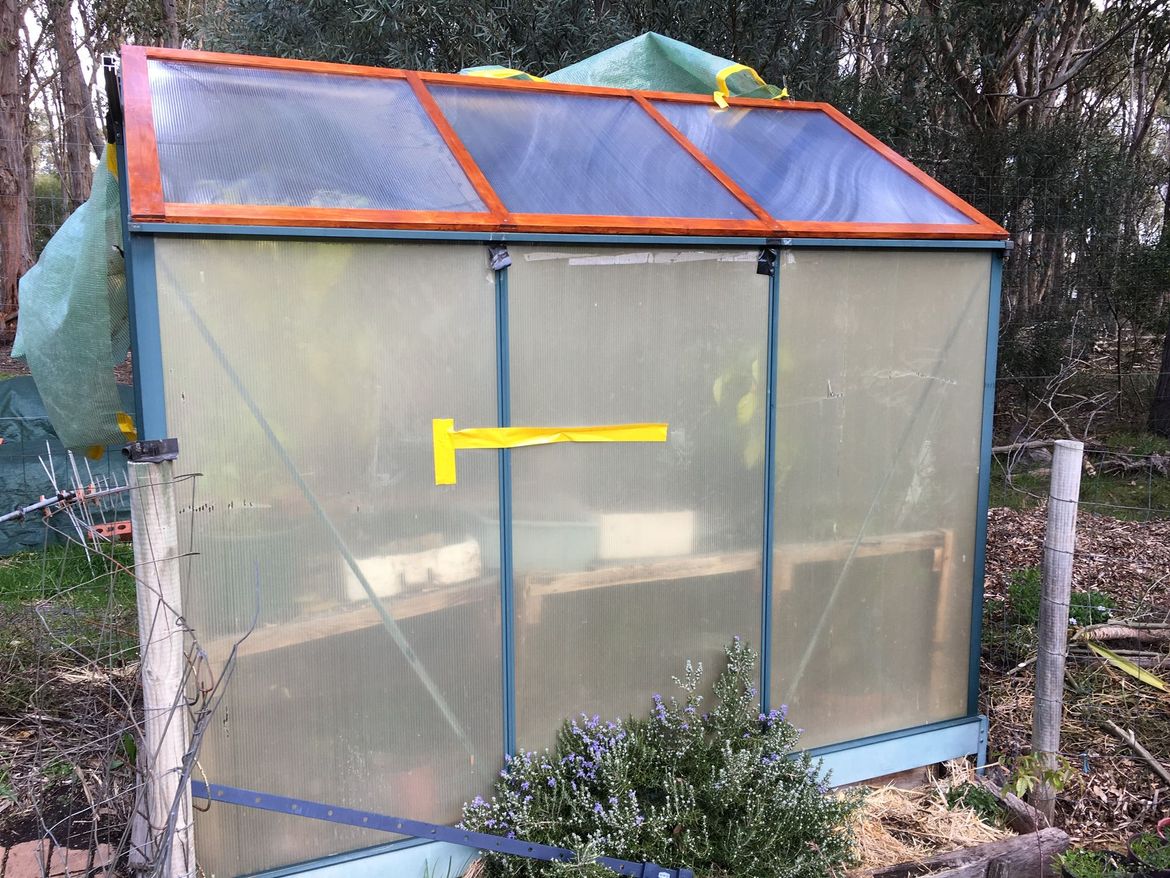 C8A0EC27-24CF-4245-AF2B-970B6BBF04B9.jpeg C8A0EC27-24CF-4245-AF2B-970B6BBF04B9.jpeg