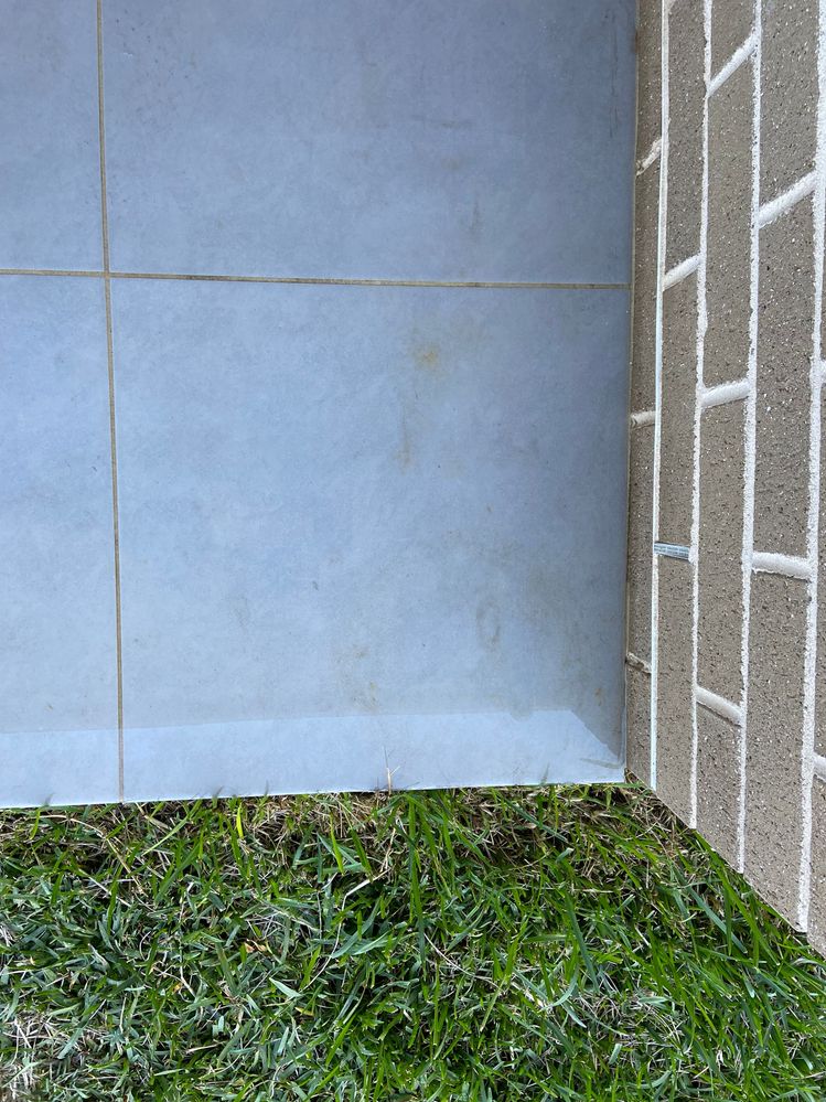 IMG_8244.JPG IMG_8244.JPG