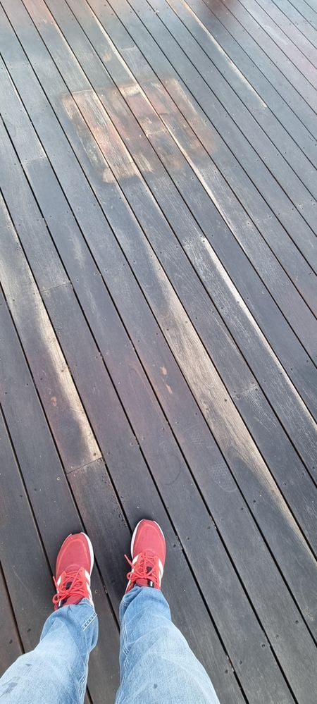 IMG-20240808-WA0005.jpg IMG-20240808-WA0005.jpg