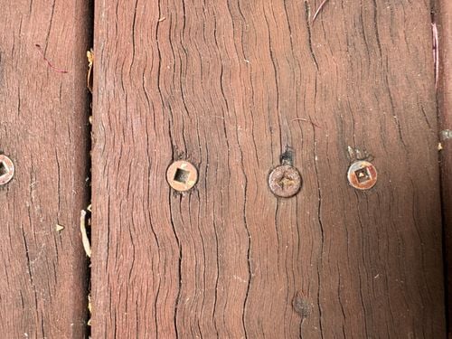 IMG_9509.jpeg IMG_9509.jpeg