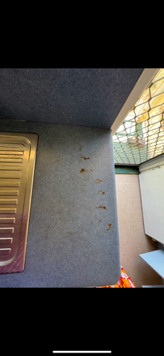 IMG_9652.png IMG_9652.png