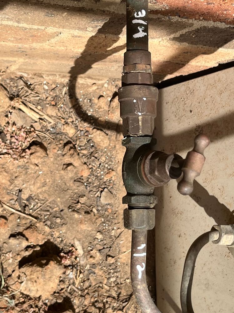 IMG_7847.jpg IMG_7847.jpg