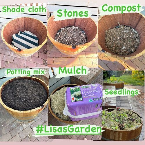 5866F9FA-B798-4065-A017-573905584444.jpeg 5866F9FA-B798-4065-A017-573905584444.jpeg