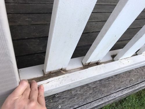 IMG_9829.JPG IMG_9829.JPG