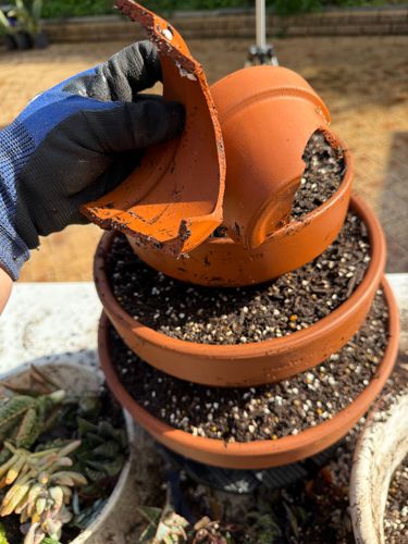 IMG_1243.jpeg IMG_1243.jpeg