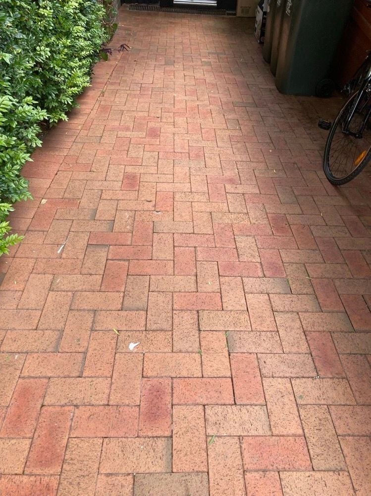 Image (24).jpg Image (24).jpg