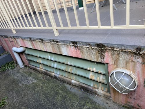 IMG_1976.jpeg IMG_1976.jpeg