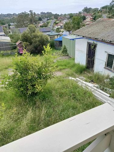 IMG_0093.jpeg IMG_0093.jpeg