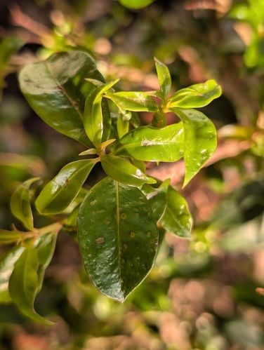 1000023957.jpg 1000023957.jpg