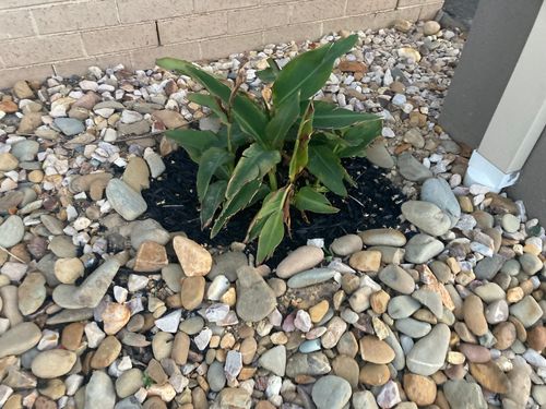 IMG_1295.jpeg IMG_1295.jpeg