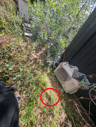 treebend.jpg treebend.jpg