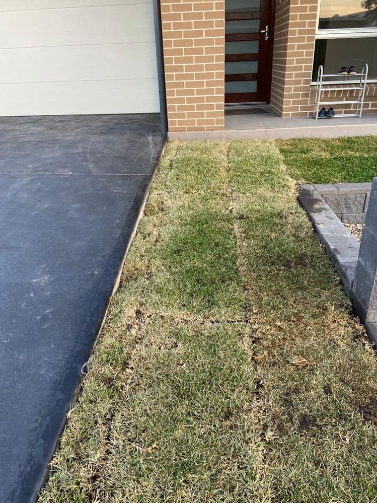 Front area in reality_08Sep20.jpeg Front area in reality_08Sep20.jpeg