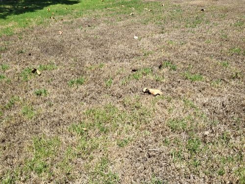 20250115_141432.jpg 20250115_141432.jpg