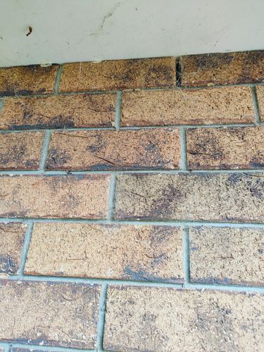 1000005209.jpg 1000005209.jpg