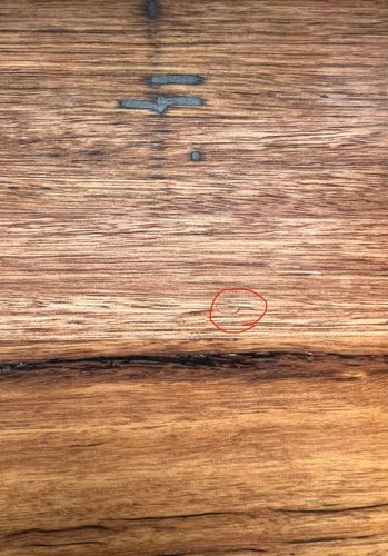 460B416D-4163-46A2-B0CE-3845FAD8436B.jpeg 460B416D-4163-46A2-B0CE-3845FAD8436B.jpeg