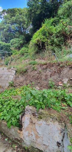 20200309_130445.jpg 20200309_130445.jpg