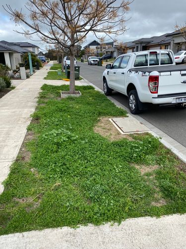 IMG_4335.jpeg IMG_4335.jpeg