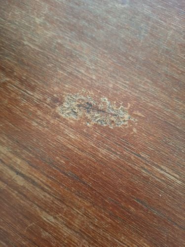 20240109_082653.jpg 20240109_082653.jpg